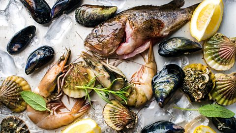 Fresh seafood with herbs and lemon on ice