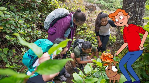 A group of people are discovering interesting things during fieldwork and staying safe together