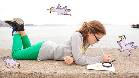 A girl by the sea, thinking of how to record the data she found out.