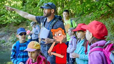 A group of children listening to their instructor during their fieldwork investigation