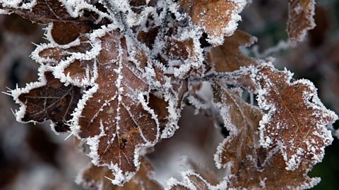 What are frost and ice? - BBC Bitesize