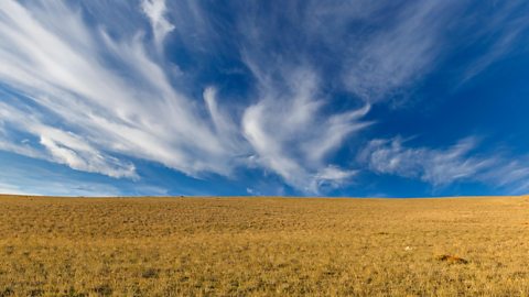 Wispy, cirruus clouds appear against a blue sky