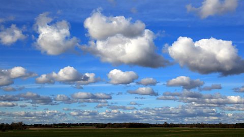 Many cumulus clouds float in a blue sky