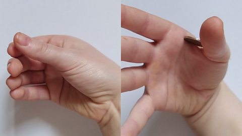 A split image, on the left is a curled hand and on the right is the front view of the hand where a coin is resting in between the thumb and forefinger. 