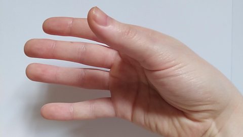 A close up of a seemingly empty hand, the coin is hidden behind the thumb.