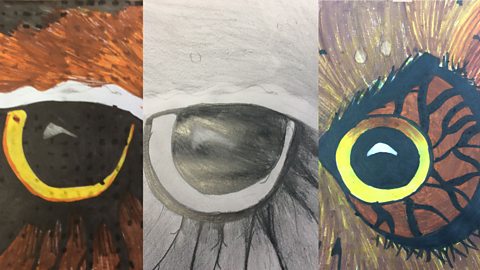 Drawings of owl eyes