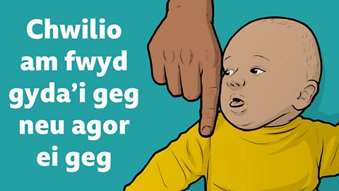 Babi yn chwilio am fwyd.