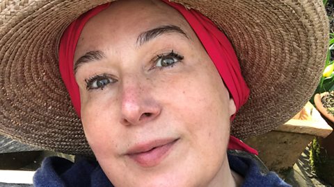 joanne m harris honeycomb joanne m harris honeycomb