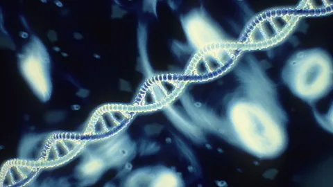 Costing the Earth, Costing the Earth, Gene Editing Nature