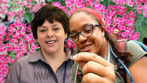 The Conversation, The Conversation, Women who love insects