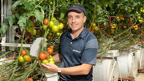Costing the Earth, Costing the Earth, The South Australian Miracle