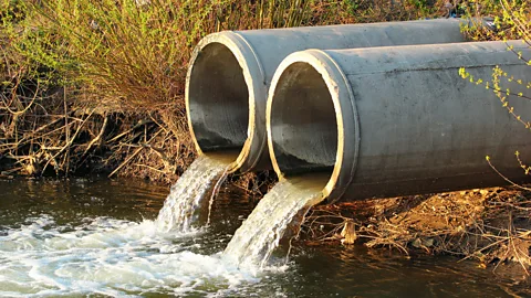 CrowdScience, CrowdScience, What can we learn from wastewater?