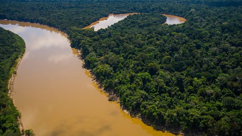 Oxbow lake in Amazonian forest