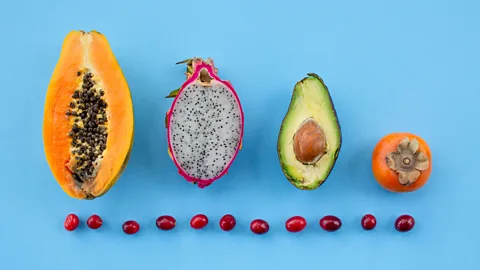 CrowdScience, CrowdScience, Why are seeds such different sizes?