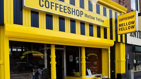Witness History, Witness History, How Amsterdam became the cannabis smoking capital of Europe