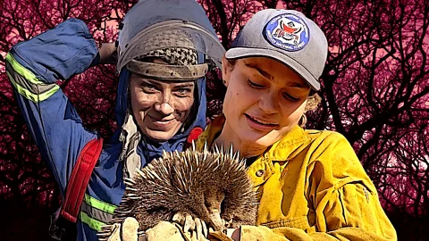 The Conversation, The Conversation, Women fighting wildfires