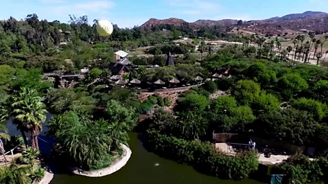 The Frozen Zoo resurrecting the extinct