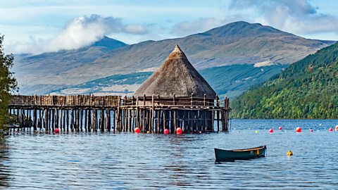 Trees growing on a crannog on Loch Freuchie, Perthshire, Scotland