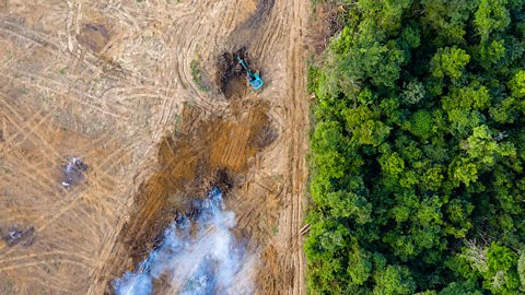 An aerial view of deforestation. Rainforest is being removed by machines.