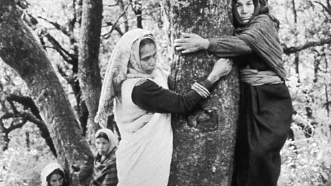 Witness History, Witness History, Chipko: India’s tree-hugging women