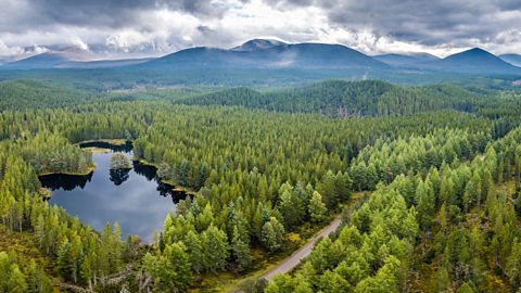 Drone shot of Loch Morlich and surrounding forest