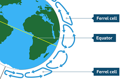 Close up of Earth showing the two Ferrel cells between the Hadley and Polar cells