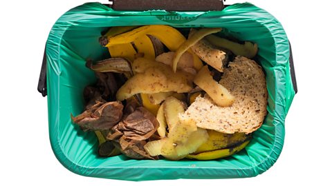 A food bin