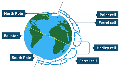 Earth, with the North Pole, Equator, South Pole. The Polar, Ferrel and Hadley cells are highlighted in both hemispheres.