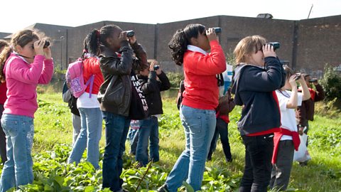 School children bird watching