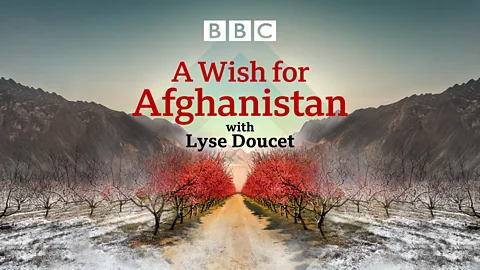 The Documentary Podcast, A Wish for Afghanistan: The Talib and the president