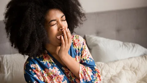 CrowdScience, CrowdScience, How did our ancestors sleep?