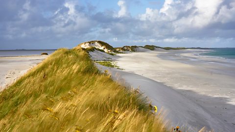 Grassy sand dunes on a beach covered in white sand