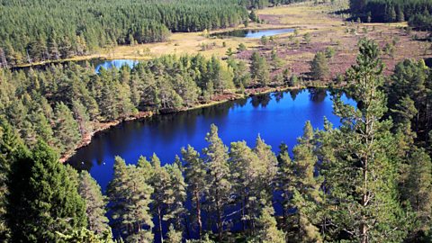 View of Uath Lochan from Farleitter Crag