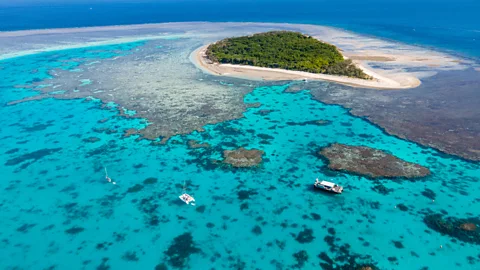 Reef and boats at Lady Musgrave Island, Southern Barrier Reef