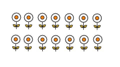 14 flowers arranged into 7 rows of 2.