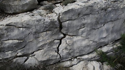 Limestone rock with lots of cracks in it