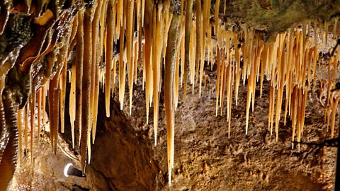 Stalactites on the roof of Treak Cliff Cavern