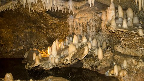 Stalagmites on the floor of a cave