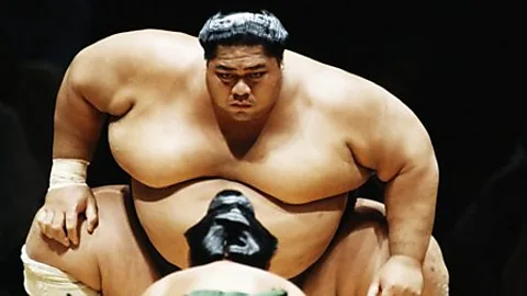 Sporting Witness, Sporting Witness, The Dumptruck: King of sumo