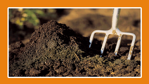 A farming pitchfork next to a heap of earth. 