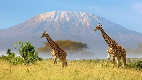 Witness History, Witness History, Kilimanjaro: Africa’s disappearing glaciers