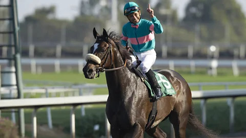 Sporting Witness, Sporting Witness, Zenyatta