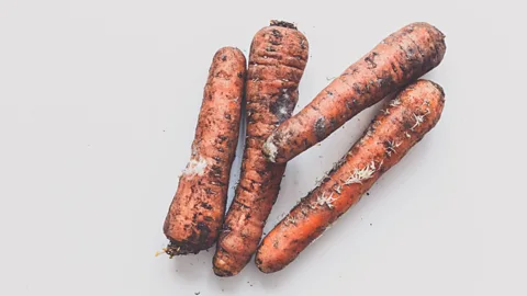 CrowdScience, CrowdScience, How can I keep fruit & veg fresh for longer?