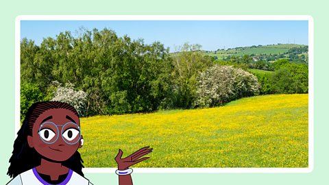 A cartoon girl gestures toward a photo of a natural meadow landscape