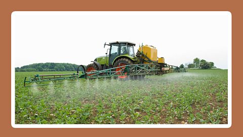 A tractor sprays pesticides and chemicals on crops to help them grow