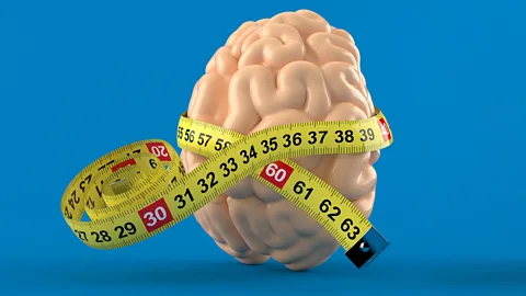 CrowdScience, CrowdScience, Are big-heads smarter?