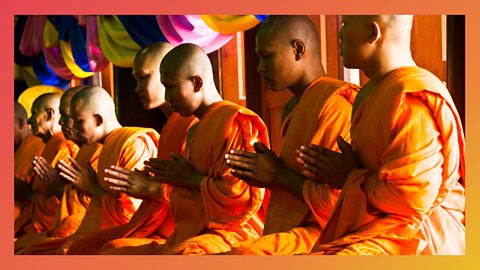 A row of monks sat on the floor