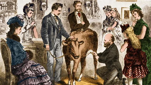 Illustration of scientists innoculating a cow