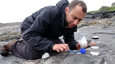 The Life Scientific, Steve Brusatte on the fall of dinosaurs and the rise of mammals