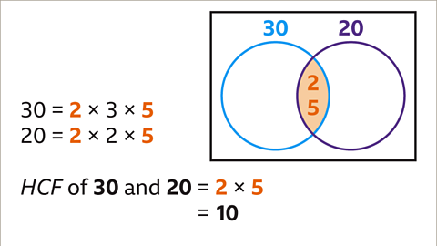 The same diagram and equations. The section where the circles meet in the middle is labelled two and five and is highlighted orange. The twos and five in the equations are also highlighted orange. Below: HCF of thirty and twenty equals two multiplied by five equals ten. 